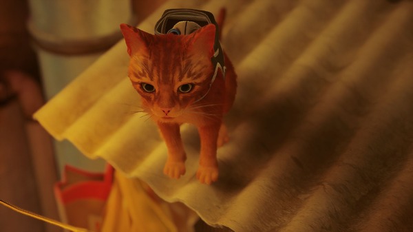 PS4/PS5/Steam猫サイバーパンク『Stray』癒しの猫コミュニケーションが注目を集める。猫ゲームの輪も広がる - AUTOMATON