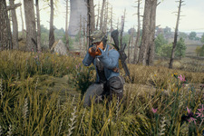 『PUBG』Week8アップデート配信決定―フラッシュバンが一時的に削除 画像