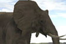 Wiiでお先に『アフリカ』体験！動物たちを気遣いながら写真を撮ろう！ 画像