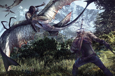 『The Witcher 3: Wild Hunt』が2015年2月へ延期―徹底した調整が必要なため 画像