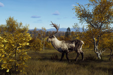 狩猟ADV『Way of the Hunter』次の狩猟の舞台は美しい自然風景広がるスカンジナビア！最新DLC「リントゥコト保護区」8月2日配信決定 画像