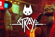 サイバーパンク猫ADVスイッチ向け『Stray』パッケージ版11月19日発売！通常版/コレクターズエディション予約開始 画像