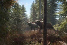 オープンワールド狩猟ゲーム『theHunter: Call of the Wild』国内向けにPS版/Xbox版が本日9月24日リリース 画像