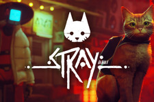 世界を魅了したポストアポカリプス都市探索猫ADV『Stray』スイッチパッケージ版発売！新宿駅東口での3D映像放映に、池袋でPOP-UPストアも