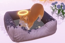 もう一度、会いたい！死んだ犬となり天国で飼い主を探すADV『My Little Puppy』日本語対応決定 画像