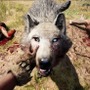 【PSX 15】『Far Cry Primal』ハンズオン―1人称原始人アクションで本能呼び覚ませ