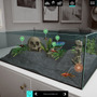 規模も中身も思いのまま！夢のアクアリウムシム『Aquarium Designer』PC向けに海外10月21日リリース―デモ版も配信中