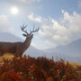 【期間限定無料】オープンワールド狩猟『theHunter: Call of the Wild』Epic Gamesストアにて配布開始―次週は『Dead by Daylight』を予告