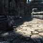 猫ちゃんを可愛がったり、誘拐したり…！？『Skyrim』猫とふれあう「A Cat's Life 2.0」MOD公開―旧版の動作を洗練化して再構築