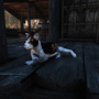 猫ちゃんを可愛がったり、誘拐したり…！？『Skyrim』猫とふれあう「A Cat's Life 2.0」MOD公開―旧版の動作を洗練化して再構築