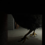 恐怖の“巨大殺人ニワトリ”がやってくる！サバイバルホラー『Chicken Feet』Steam向けに9月16日リリース