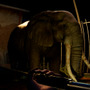 ミュータント動物園ホラー『Zoochosis』発表―ボディカメラ風の視点で変異キリンやカンガルーと対峙