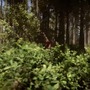 気持ち悪いクリーチャー続々追加…食人族サバイバル『Sons Of The Forest』正式版トレイラー！空を飛べるグラインドも