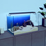 マッチョ育成鑑賞シム『マチョリウム -Muscle Aquarium Simulator-』リリース―プロテインを与え飾って眺める放置型＆サンドボックス