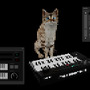 MIDIキーボードやソフトウェアでネコが演奏してくれるネコMIDI『Meowstro』Steamストアページ公開