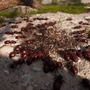 103683代目の救世主として軍団を率いる“蟻”ストラテジー『Empire of the Ants』PS/Xbox/PC向けに現地時間11月7日リリース！