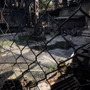 廃墟と化した街でギャングと殴り合う3D格闘アクションゲーム『City of Ashes』発表！