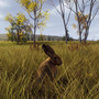 狩猟ADV『Way of the Hunter』次の狩猟の舞台は美しい自然風景広がるスカンジナビア！最新DLC「リントゥコト保護区」8月2日配信決定