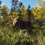 狩猟ADV『Way of the Hunter』次の狩猟の舞台は美しい自然風景広がるスカンジナビア！最新DLC「リントゥコト保護区」8月2日配信決定