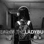 TPSからノベルへと移行した現行プロジェクト版『Year of the Ladybug』Dave Kang氏がゲームの完成を報告！現在は日本語を含むローカライズ作業中