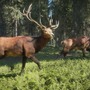 【TGS2024】待望のコンソール版で名作狩猟ゲーが更に身近に！『theHunter: Call of the Wild』PS4版試遊レポート