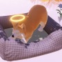 もう一度、会いたい！死んだ犬となり天国で飼い主を探すADV『My Little Puppy』日本語対応決定