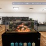 レジ打ちや水槽の飾りつけ、魚を育てて販売したり…アクアリウムショップ経営シム『Aquatic Store Simulator』で、自分だけの“アクアスーパーマーケット”を作ろう【プレイレポ】