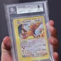 なんとその数、約5万種類！ポケモンカード最大コレクション規模の世界記録が登録―中には屋根裏で見つけたお宝も