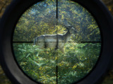 狩猟シミュレーション The Hunter Call Of The Wild 日本語対応 アラスカ舞台の新dlcもリリース Game Spark 国内 海外ゲーム情報サイト