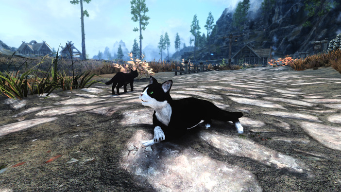 猫ちゃんを可愛がったり、誘拐したり…！？『Skyrim』猫とふれあう「A Cat's Life 2.0」MOD公開―旧版の動作を洗練化して再構築