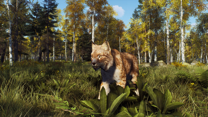 狩猟ADV『Way of the Hunter』次の狩猟の舞台は美しい自然風景広がるスカンジナビア！最新DLC「リントゥコト保護区」8月2日配信決定