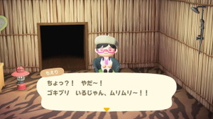 『あつ森』アプデ後、まずは部屋を掃除するべき!? ゴキブリがいる場合、遊びにくる住民に「特殊演出」あり… 画像