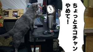 【吉田輝和の絵日記】プレイヤーはネコのあらゆる悪意を目撃する！ネコチャンオープンワールド『Little Kitty, Big City』 画像