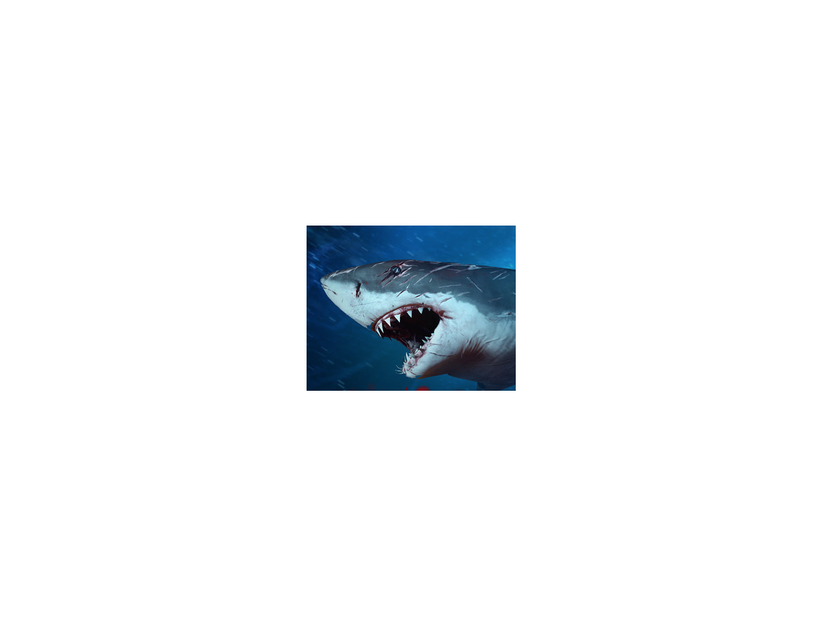 鮫にもダイバーにもなれる海底ステルスact Depth Steamで正式リリースへ Game Spark 国内 海外ゲーム情報サイト
