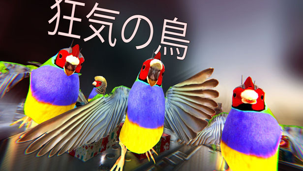 狂気の鳥ゲー『Xbird』が98円でSteam配信中―鳥たちが飛ぶ！撃つ！走る！？