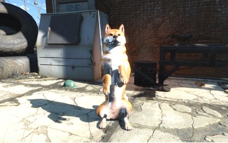 『Fallout 4』Creation Clubからめちゃめちゃ可愛い「柴犬」がリリース！一緒に連邦をお散歩できる