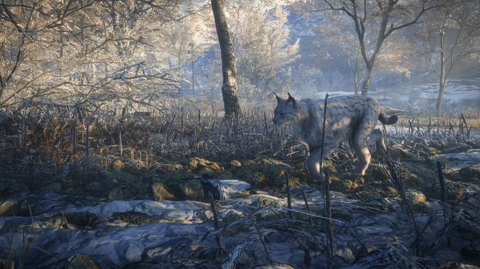 狩猟ゲーム最新パッケージ『theHunter: Call of the Wild 2019 Edition』海外発表！ DLCを全て同梱