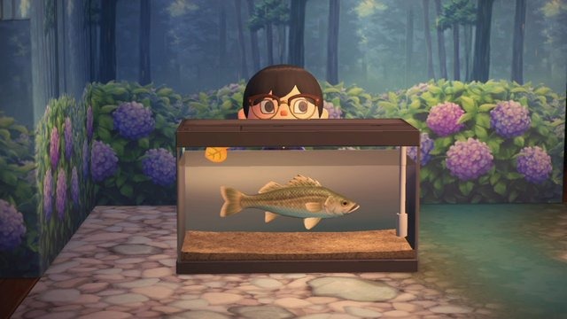 どうして『あつまれ どうぶつの森』の「スズキ」は嫌われるの？ かわいそうな魚のかわいそうな理由を解説