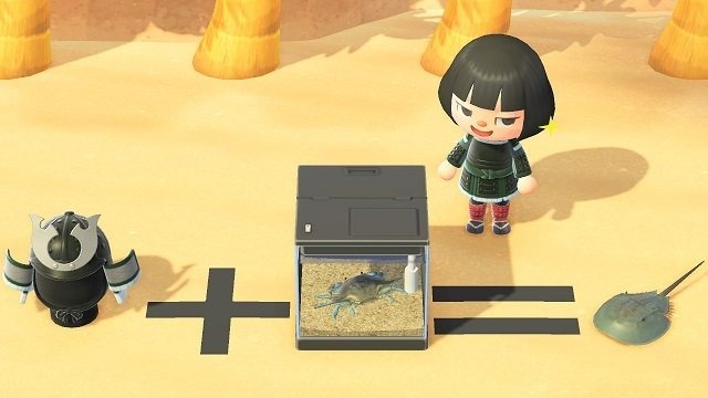 『あつまれ どうぶつの森』ホタテを食べるラコスケや水槽を殴るシャコ─海開きには細か～い作り込みがいっぱい！