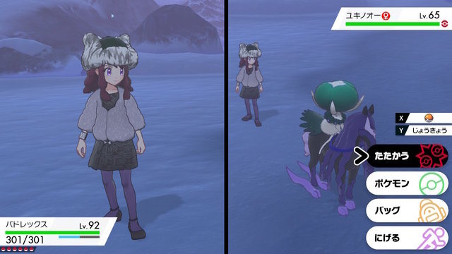 『ポケモン ソード・シールド』「冠の雪原」はこれでキマリ！ガルモおじさんの冬コーデ着こなしDiary