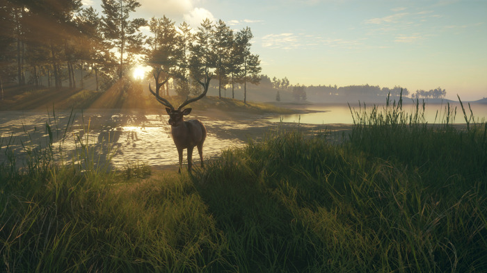 ニホンジカも狩猟可能！『theHunter: Call of the Wild』ニュージーランド舞台の新DLC「Te Awaroa National Park」配信開始