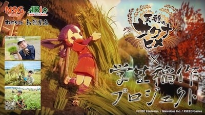 『天穗のサクナヒメ』コラボ企画から生まれた「サクナヒメ奉納米」間もなく在庫切れ！ゲームと同じ昔ながらの手法を取り入れた“究極のファングッズ”を見逃すな