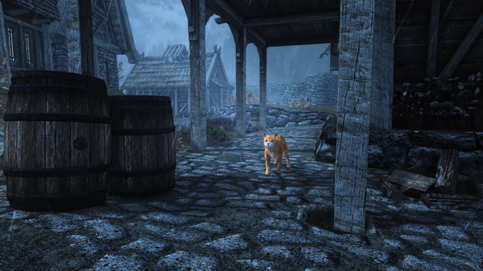 猫ちゃんを可愛がったり、誘拐したり…！？『Skyrim』猫とふれあう「A Cat's Life 2.0」MOD公開―旧版の動作を洗練化して再構築