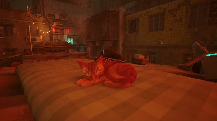 『Stray』猫ちゃんの死は悲しいが、ヒトが死ぬのも悲しい。印象的な「別れ」はなぜ生まれる？【子猫スクショあり】