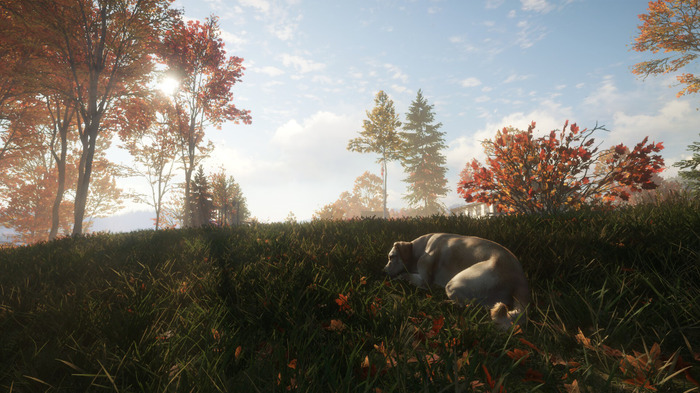 愛犬が飼える！犬とともに狩猟スローライフ『theHunter: Call of the Wild』最新DLC「Labrador Retriever」リリース