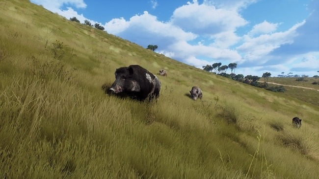 新たな狩猟の舞台はニュージーランド！『Way of the Hunter』新DLC「マタリキ公園」 2月6日リリース