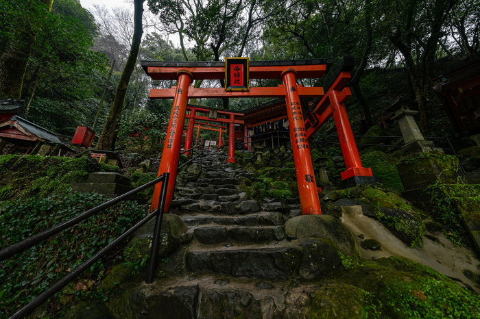 佐賀県観光で感じる『リネージュW』の世界観！日本三大稲荷、日本酒やお茶、温泉を楽しみ尽くす