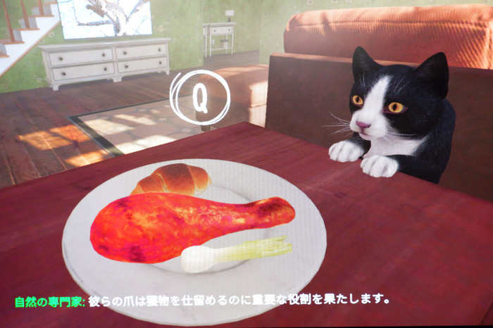 家を追われた猫の切ない物語…完全に猫になり切るアドベンチャー『COPYCAT』を試遊【TIGS2024】