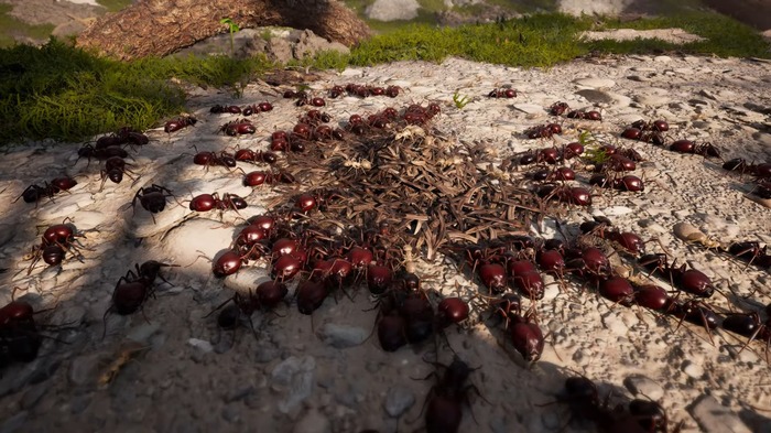 103683代目の救世主として軍団を率いる“蟻”ストラテジー『Empire of the Ants』PS/Xbox/PC向けに現地時間11月7日リリース！