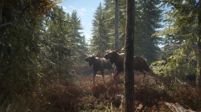 オープンワールド狩猟ゲーム『theHunter: Call of the Wild』国内向けにPS版/Xbox版が本日9月24日リリース